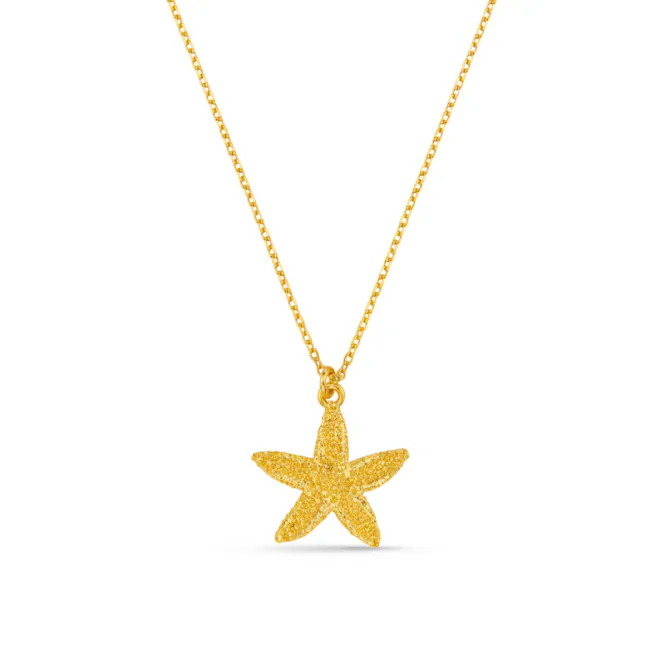 Hovedbilde Orelia - Textured Starfish Smykke