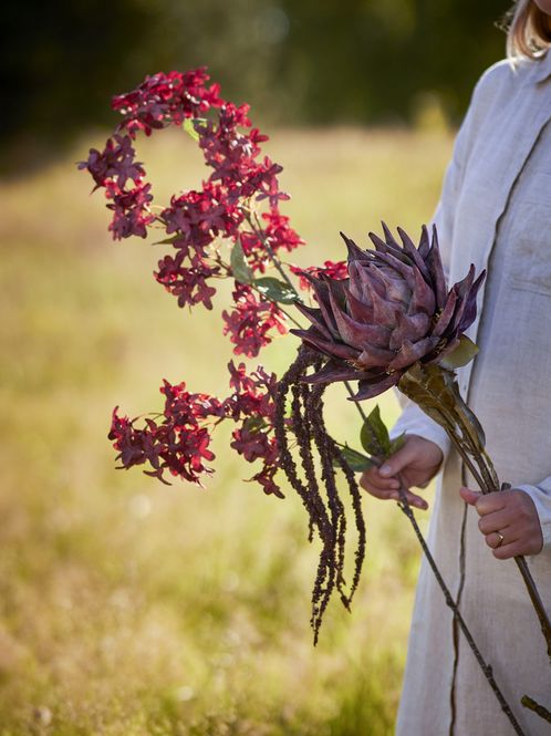 Hovedbilde Bloomingville - Protea Stilk, Lilla, Kunstige ...